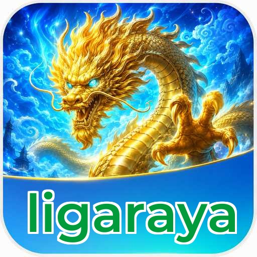 ligaraya Verification